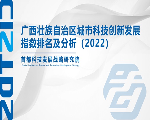 国外操逼逼逼逼逼逼大全【成果发布】广西壮族自治区城市科技创新发展指数排名及分析（2022）